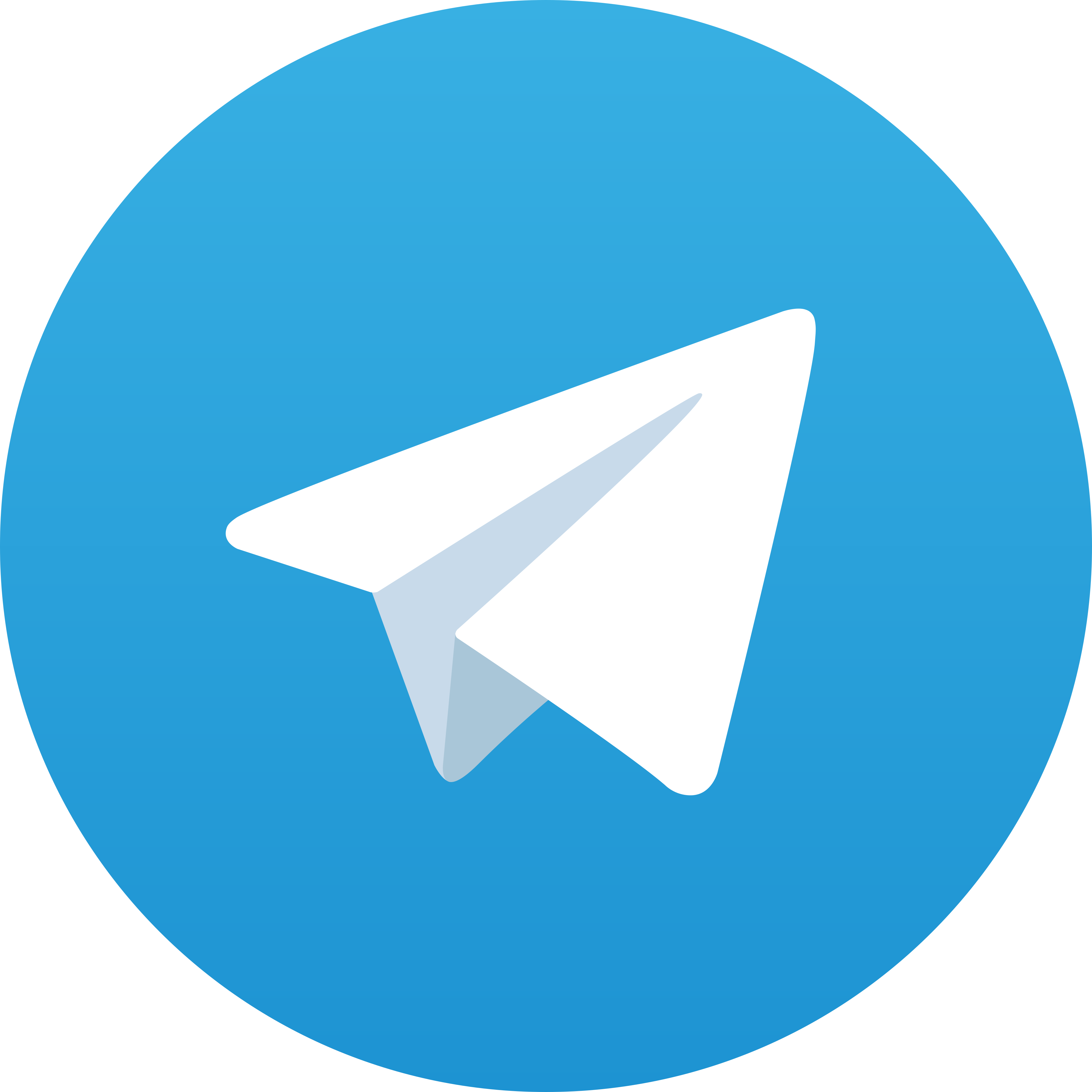 Telegram Winbet822